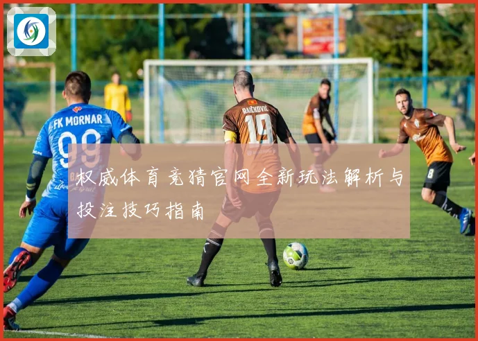 权威体育竞猜官网全新玩法解析与投注技巧指南