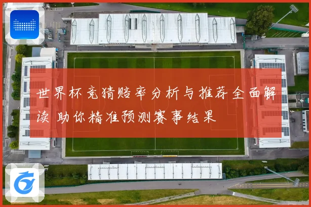 世界杯竞猜赔率分析与推荐全面解读 助你精准预测赛事结果