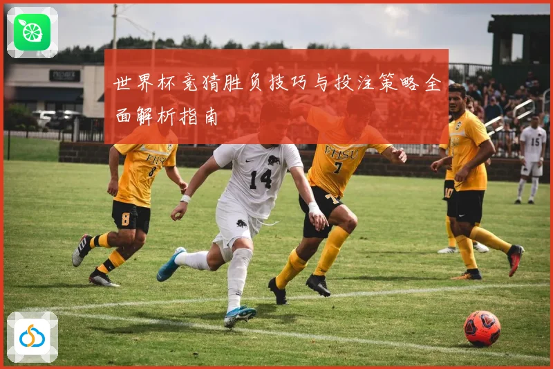 世界杯竞猜胜负技巧与投注策略全面解析指南
