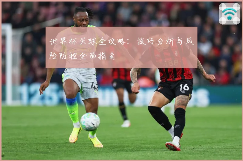 世界杯买球全攻略：技巧分析与风险防控全面指南