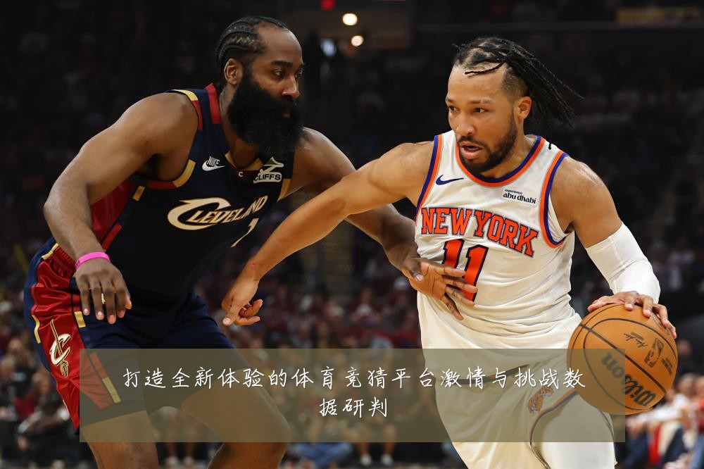 打造全新体验的体育竞猜平台激情与挑战数据研判